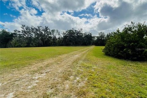 Land in Parrish, Florida № 1428940 - photo 7