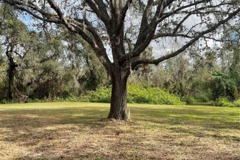 Land in Parrish, Florida № 1428940 - photo 12