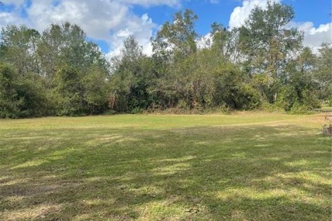Land in Parrish, Florida № 1428940 - photo 13