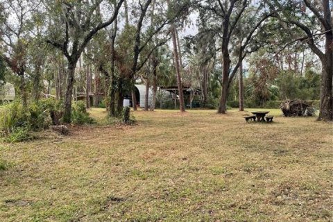 Land in Parrish, Florida № 1428940 - photo 14