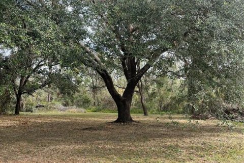 Land in Parrish, Florida № 1428940 - photo 11