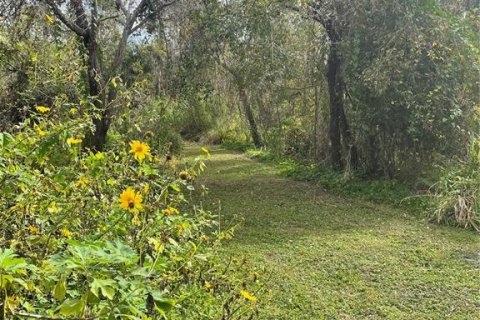 Land in Parrish, Florida № 1428940 - photo 16