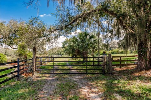 Land in Parrish, Florida № 1428940 - photo 3