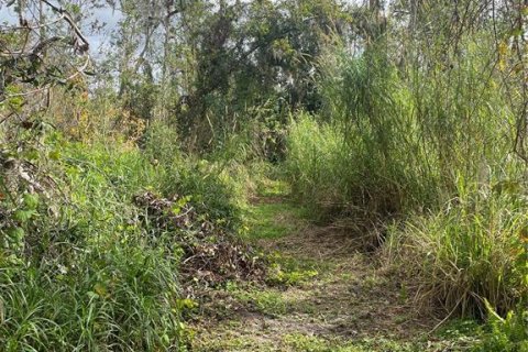 Land in Parrish, Florida № 1428940 - photo 17