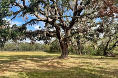 Land in Parrish, Florida № 1428940 - photo 10