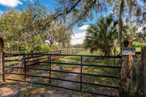 Land in Parrish, Florida № 1428940 - photo 4