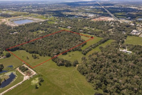 Land in Parrish, Florida № 1428940 - photo 24