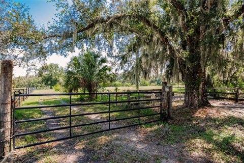 Land in Parrish, Florida № 1428940 - photo 1