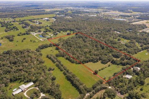 Land in Parrish, Florida № 1428940 - photo 27