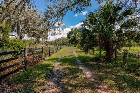 Land in Parrish, Florida № 1428940 - photo 2
