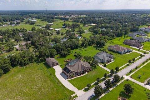 Villa ou maison à vendre à Fish Hawk, Floride: 5 chambres, 370.77 m2 № 2235389 - photo 2