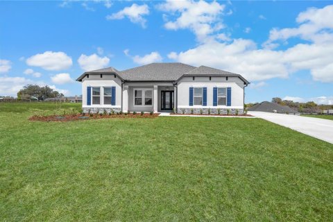 House in Fruitland Park, Florida 4 bedrooms, 245.45 sq.m. № 2277034