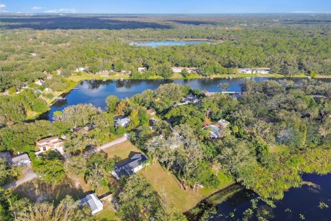 House in Lutz, Florida 4 bedrooms, 201.51 sq.m. № 1832600 - photo 11