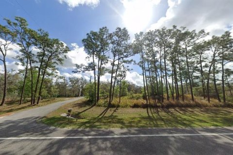 Terreno en venta en Polk City, Florida № 2234911 - foto 2