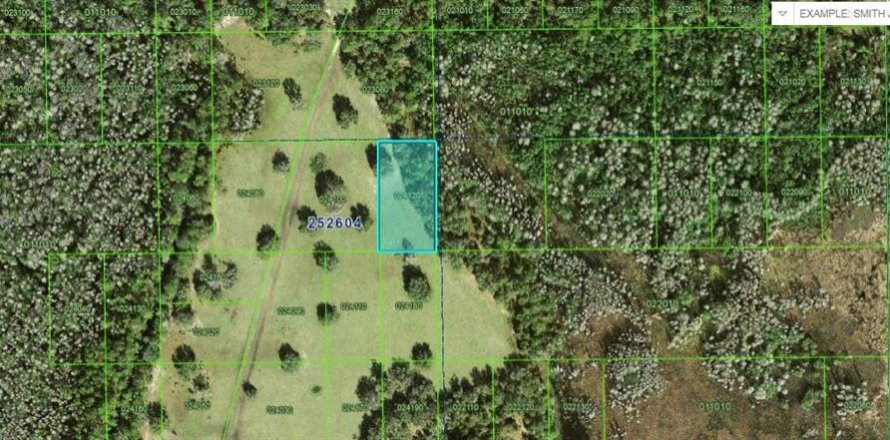 Terreno en Polk City, Florida № 2234911