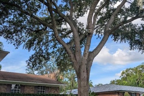 Villa ou maison à vendre à Maitland, Floride: 4 chambres, 205.5 m2 № 1905874 - photo 3