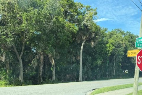 Terreno en New Smyrna Beach, Florida № 2230824