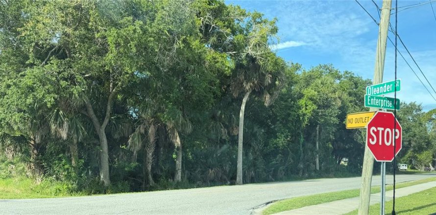 Terrain à New Smyrna Beach, Floride № 2230824