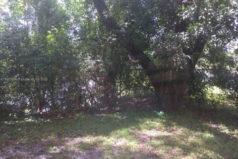 Condo in Pompano Beach, Florida, 1 bedroom № 1962197 - photo 14