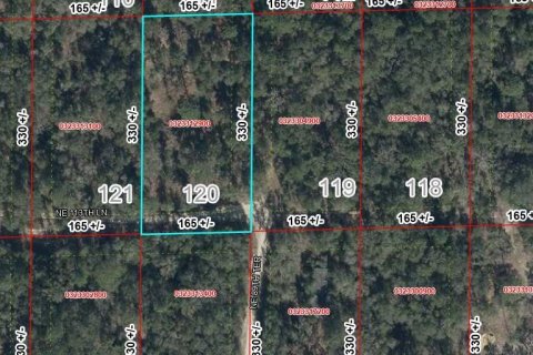 Land in Bronson, Florida № 2294809