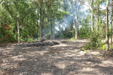 Land in Trenton, Florida № 2162643 - photo 2