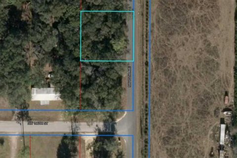 Land in Trenton, Florida № 2162643 - photo 3