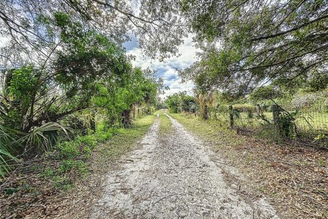 Land in Ruskin, Florida № 1722475 - photo 8