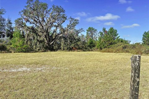 Land in Ruskin, Florida № 1722475 - photo 3