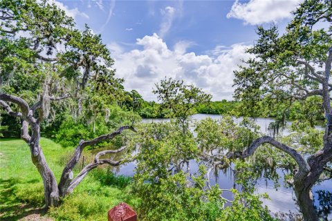 Villa ou maison à vendre à Seminole, Floride: 4 chambres, 250.93 m2 № 1816012 - photo 29