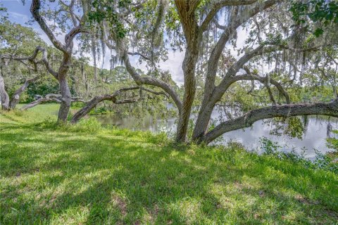 Villa ou maison à vendre à Seminole, Floride: 4 chambres, 250.93 m2 № 1816012 - photo 3