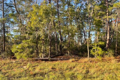 Terrain à vendre à Ocala, Floride № 2204331 - photo 4