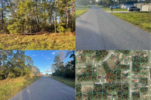 Land in Ocala, Florida № 2204331