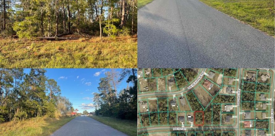 Terrain à Ocala, Floride № 2204331