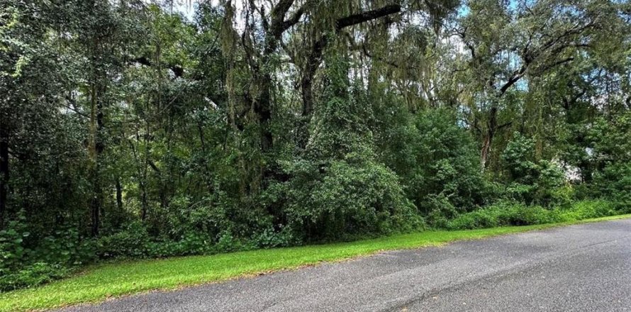 Land in Brooksville, Florida № 1590561