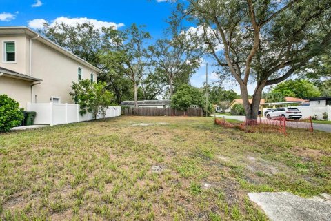 Land in Tampa, Florida № 2384209 - photo 3