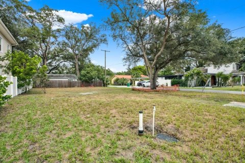 Land in Tampa, Florida № 2384209