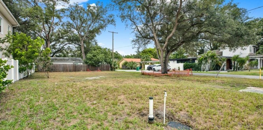 Land in Tampa, Florida № 2384209
