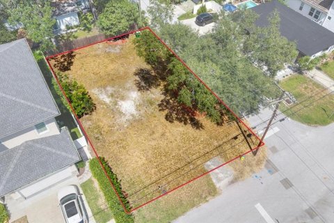 Land in Tampa, Florida № 2384209 - photo 15