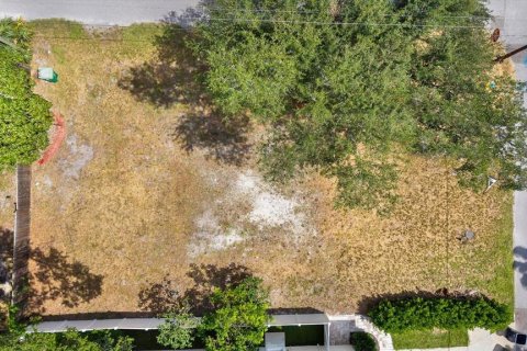 Land in Tampa, Florida № 2384209 - photo 9