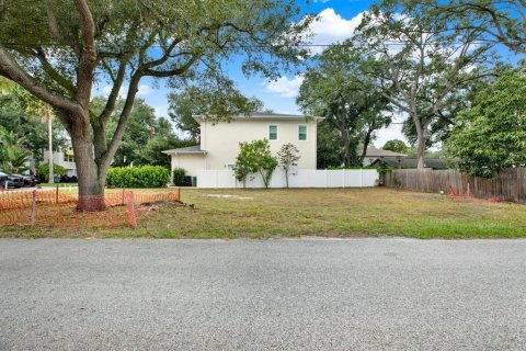 Land in Tampa, Florida № 2384209 - photo 6