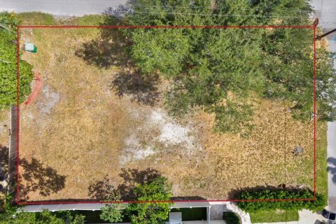 Land in Tampa, Florida № 2384209 - photo 10