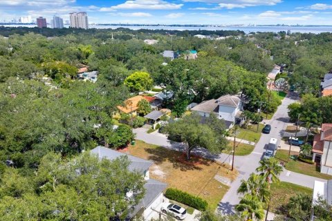 Land in Tampa, Florida № 2384209 - photo 11
