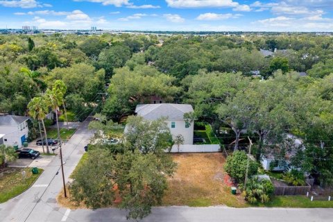 Land in Tampa, Florida № 2384209 - photo 12