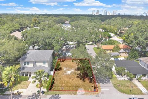 Land in Tampa, Florida № 2384209 - photo 8