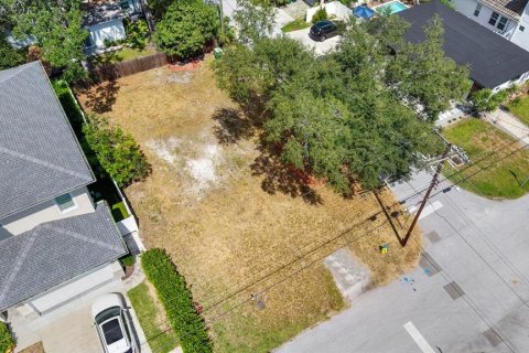 Land in Tampa, Florida № 2384209 - photo 14