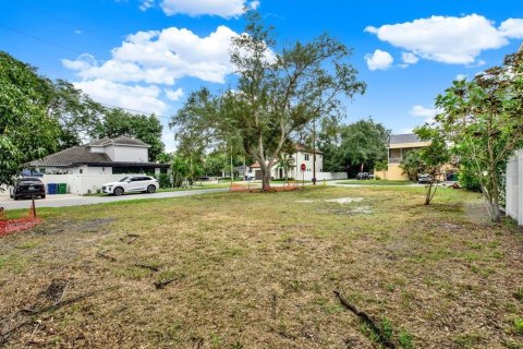 Land in Tampa, Florida № 2384209 - photo 4