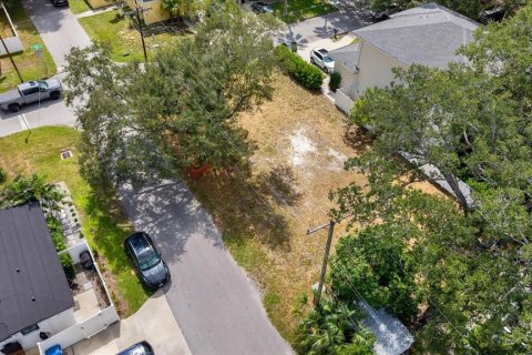 Land in Tampa, Florida № 2384209 - photo 13