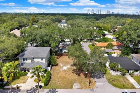 Land in Tampa, Florida № 2384209 - photo 7