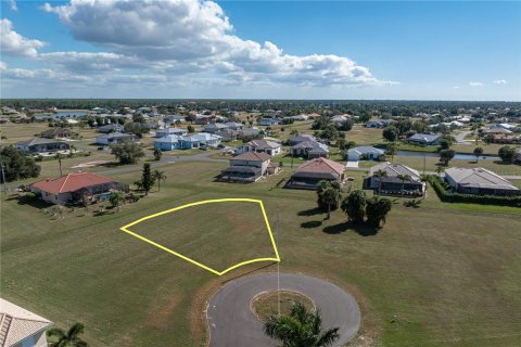 Land in Punta Gorda, Florida № 2158762 - photo 4