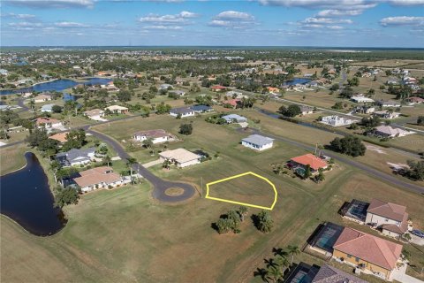 Land in Punta Gorda, Florida № 2158762 - photo 11
